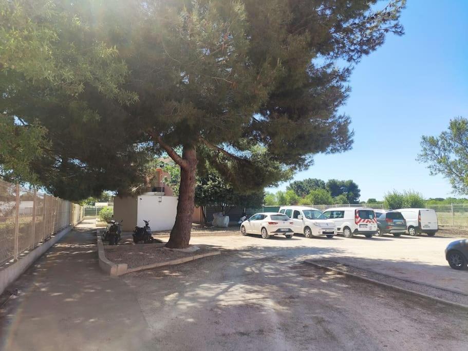 Harmonie Du Sud Apartamento Le Grau-dʼAgde Exterior foto