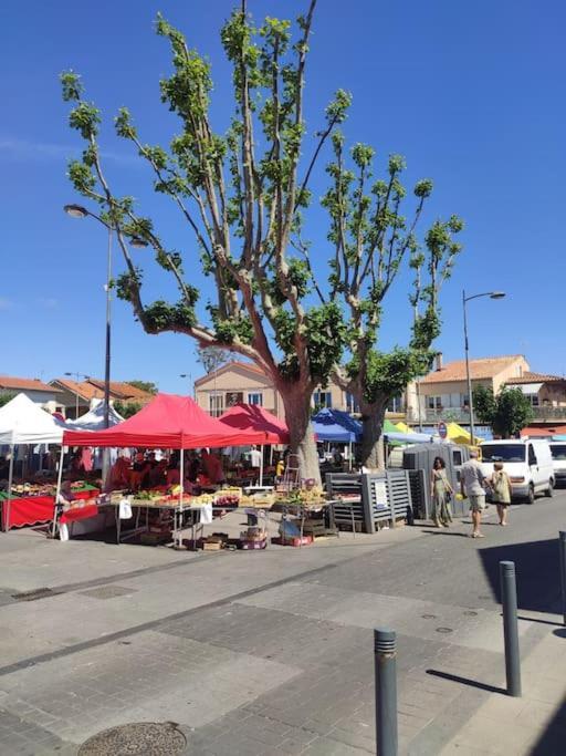 Harmonie Du Sud Apartamento Le Grau-dʼAgde Exterior foto